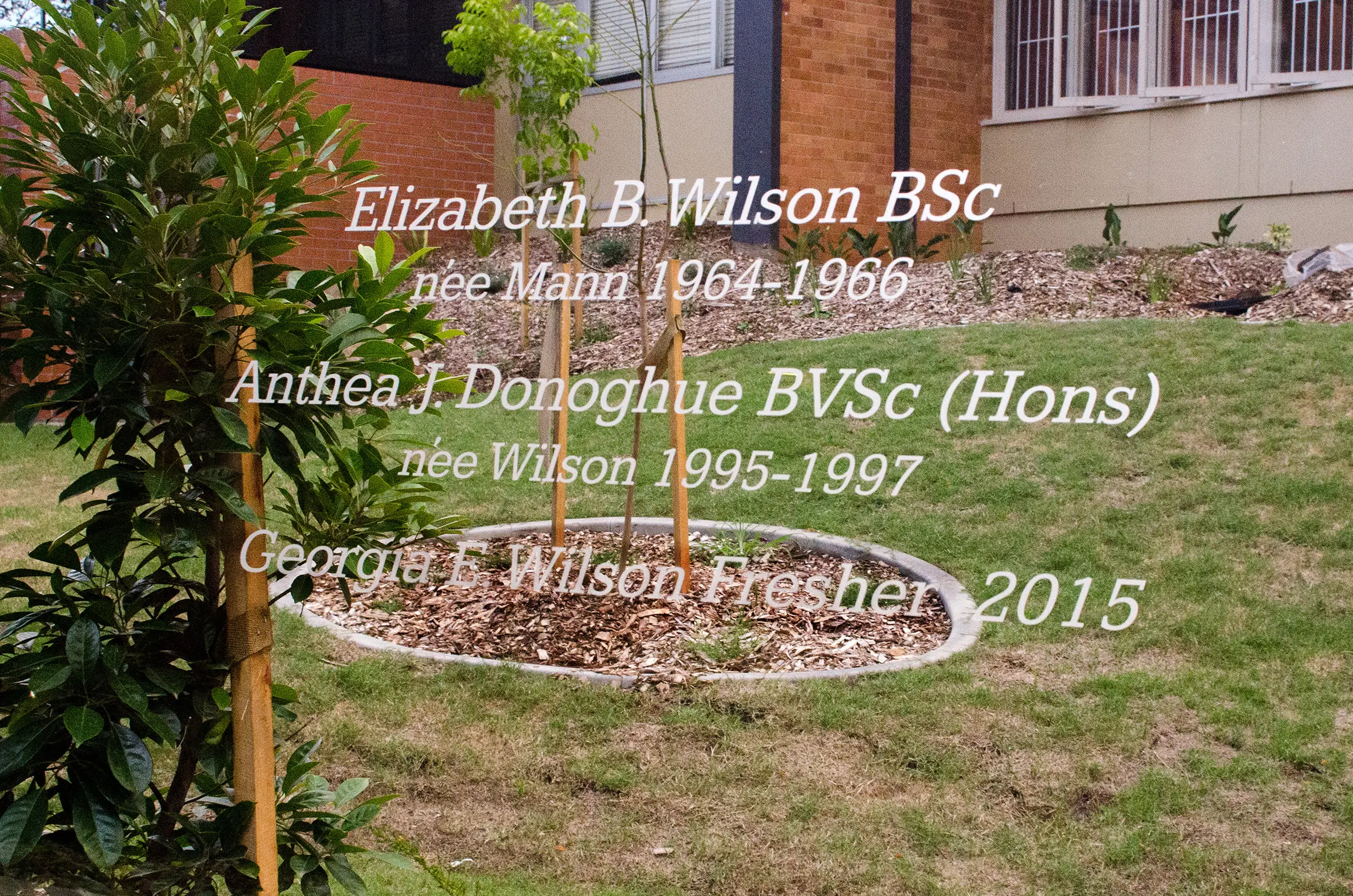 A window panel with the names of former College residents laser-etched on the glass.